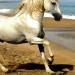 Test 1