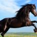 Test 5